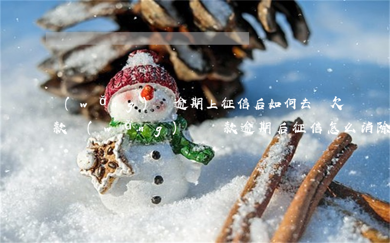 網(wǎng)貸逾期上征信后如何去還欠款(網(wǎng)貸還款逾期后征信怎么消除)