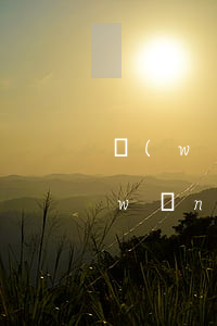 網(wǎng)貸逾期上征信多久會黑(網(wǎng)貸逾期多久征信變黑)