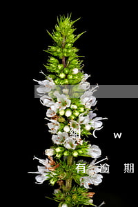 網(wǎng)貸逾期上征信找不到(如果沒有逾期征信能查得到網(wǎng)貸嗎)