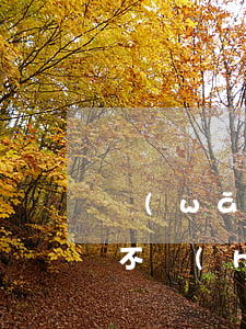 網(wǎng)貸逾期上征信會(huì)不會(huì)影響信用卡-網(wǎng)貸逾期上征信會(huì)不會(huì)影響信用卡使用