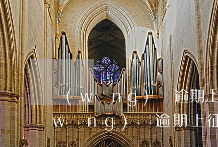 網(wǎng)貸逾期上征信的有哪些(網(wǎng)貸逾期上征信的有哪些)