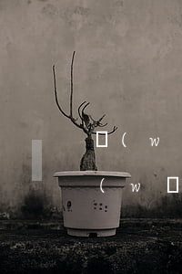 網(wǎng)貸逾期上征信能辦信用卡(網(wǎng)貸逾期了能辦信用卡嗎)