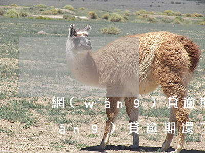 網(wǎng)貸逾期上征信還清了(網(wǎng)貸逾期還了征信上面怎么消除)