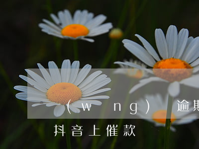 網(wǎng)貸逾期上抖音啥意思(有人在抖音上催款)