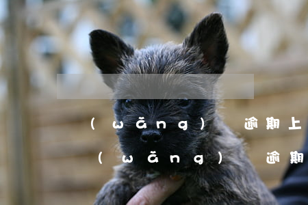 網(wǎng)貸逾期上法院怎么賠款(如果網(wǎng)貸逾期被起訴怎么辦)