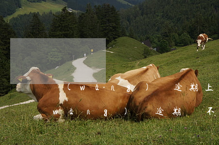 網(wǎng)貸逾期上班有有影響嗎(網(wǎng)貸逾期會不會影響工作)