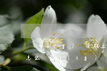 網(wǎng)貸逾期上門(mén)催收怎么應(yīng)對(duì)-網(wǎng)貸逾期上門(mén)催收怎么應(yīng)對(duì)的