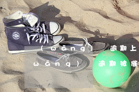 網(wǎng)貸逾期上門催債違法嗎(網(wǎng)貸逾期被催債了怎么辦)