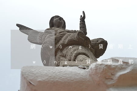 網(wǎng)貸逾期上門催收合法嗎(網(wǎng)貸逾期真的會上門催收嗎)