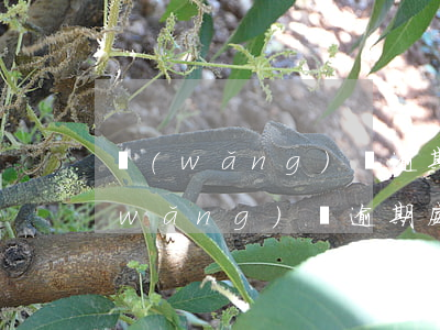 網(wǎng)貸逾期上門居委會核查(網(wǎng)貸逾期威脅聯(lián)系村委會上門)