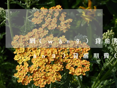 網(wǎng)貸逾期上限是真的嗎(網(wǎng)貸逾期費(fèi)用有上限嗎)