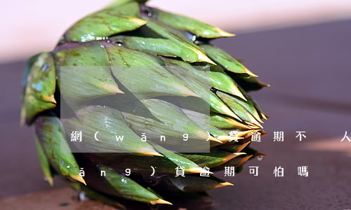 網(wǎng)貸逾期不丟人怎么辦(網(wǎng)貸逾期可怕嗎)