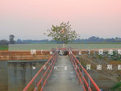 網(wǎng)貸逾期不同場景怎么辦(網(wǎng)貸逾期都有些什么后果)