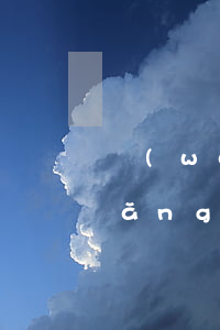 網(wǎng)貸逾期不回家怎么辦(網(wǎng)貸平臺逾期不回款怎么辦)