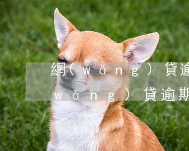 網(wǎng)貸逾期不庭審怎么定罪(網(wǎng)貸逾期起訴立案標準)