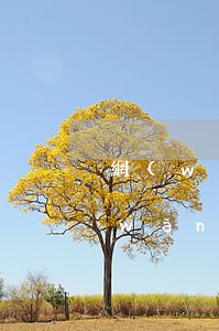 網(wǎng)貸逾期不想還了怎么辦(網(wǎng)貸逾期了怎么辦沒錢還款)