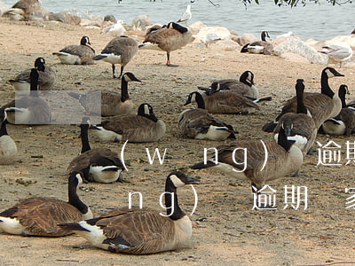 網(wǎng)貸逾期不敢跟家里說(網(wǎng)貸逾期來家里了怎么辦)