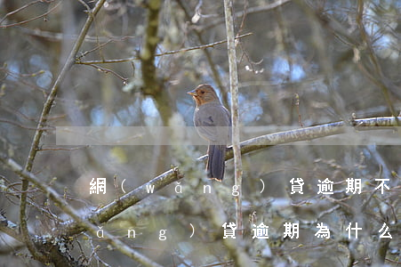 網(wǎng)貸逾期不理催債公司(網(wǎng)貸逾期為什么不起訴而是催收)