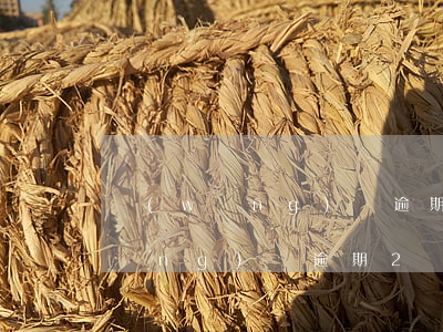 網(wǎng)貸逾期不給二次分期(網(wǎng)貸逾期2個月)