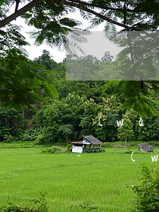 網(wǎng)貸逾期不給協(xié)商-網(wǎng)貸逾期不給協(xié)商怎么辦