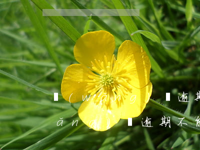 網(wǎng)貸逾期不能上高速嗎（網(wǎng)貸逾期不能上高速?）