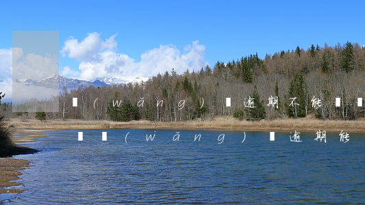 網(wǎng)貸逾期不能買機(jī)票嗎(網(wǎng)貸逾期能買飛機(jī)票嗎)