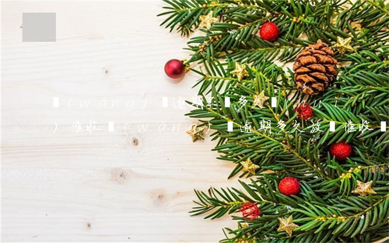 網(wǎng)貸逾期不還多久會(huì)催收(網(wǎng)貸逾期多久放棄催收,會(huì)上門嗎)