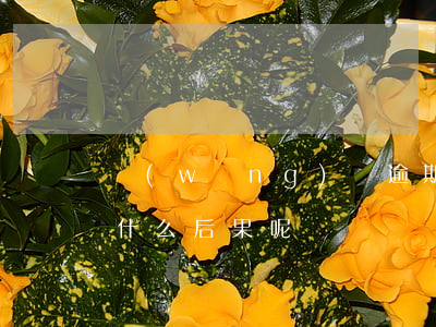 網(wǎng)貸逾期不還會(huì)有什么后果呢