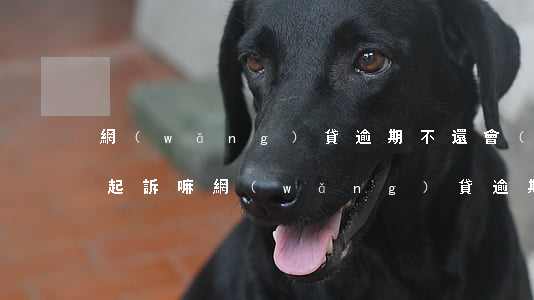 網(wǎng)貸逾期不還會(huì)被起訴嘛(網(wǎng)貸逾期會(huì)不會(huì)被起訴)