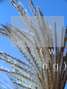 網(wǎng)貸逾期不還會上門嗎(網(wǎng)貸逾期說要上門是真的嗎)