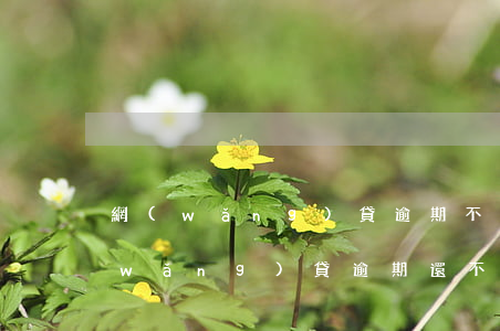 網(wǎng)貸逾期不還會怎么樣-網(wǎng)貸逾期還不上怎么辦