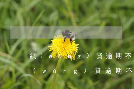 網(wǎng)貸逾期不還的后果是啥-網(wǎng)貸逾期不還的后果是啥呢