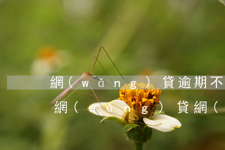 網(wǎng)貸逾期不還繼續(xù)借網(wǎng)貸(網(wǎng)貸逾期不還繼續(xù)借網(wǎng)貸)