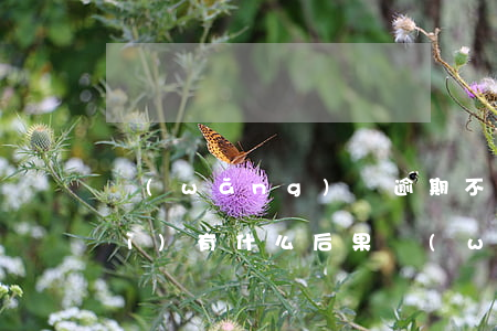 網(wǎng)貸逾期不還被起訴會(huì)有什么后果(網(wǎng)貸逾期會(huì)不會(huì)起訴)