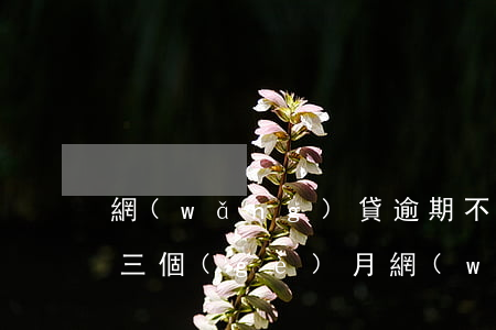網(wǎng)貸逾期不還超過(guò)三個(gè)月(網(wǎng)貸逾期三年不還會(huì)怎么樣?)