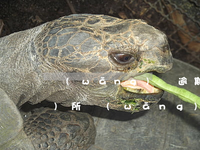 網(wǎng)貸逾期中合律師事務(wù)所(網(wǎng)貸逾期法律咨詢)