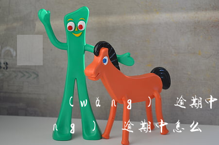 網(wǎng)貸逾期中怎么貸款 網(wǎng)貸逾期中怎么貸款買房