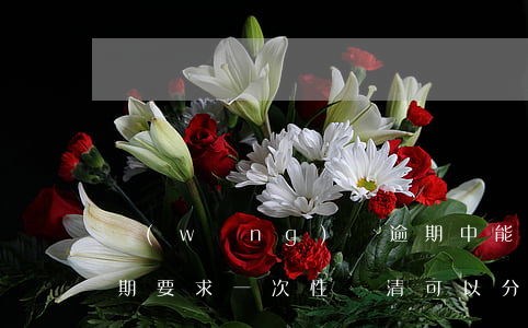網(wǎng)貸逾期中能分期車嗎(車貸逾期要求一次性還清,可以分期嗎)