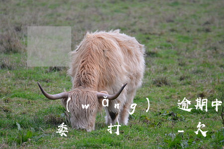 網(wǎng)貸逾期中衛(wèi)仲裁委員會打電話來-欠網(wǎng)貸仲裁委員會打電話