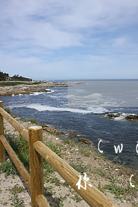 網(wǎng)貸逾期主動(dòng)找你協(xié)商(網(wǎng)貸逾期前協(xié)商還是逾期后協(xié)商)