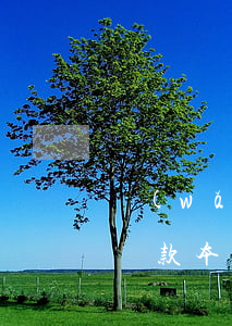 網(wǎng)貸逾期主動協(xié)商還款本金(網(wǎng)貸逾期主動協(xié)商還款本金)