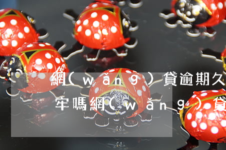 網(wǎng)貸逾期久了會(huì)坐牢嗎(網(wǎng)貸逾期會(huì)拘留嗎)