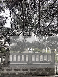 網(wǎng)貸逾期久了罰息太多了(網(wǎng)貸逾期久了罰息太多了)
