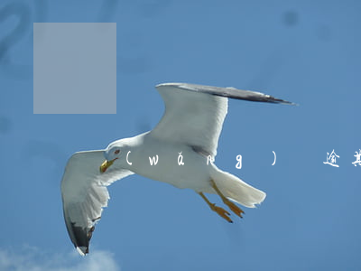 網(wǎng)貸逾期九個月多少錢