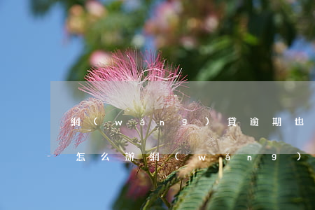 網(wǎng)貸逾期也發(fā)律師函怎么辦(網(wǎng)貸逾期也發(fā)律師函怎么辦)