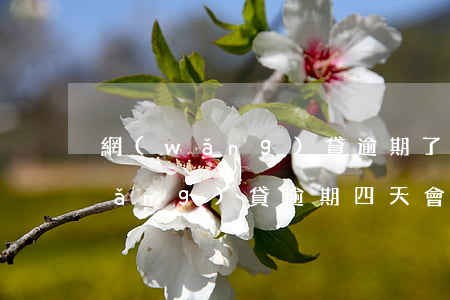 網(wǎng)貸逾期了4天沒事吧(網(wǎng)貸逾期四天會(huì)怎么樣)