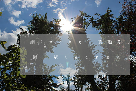網(wǎng)貸逾期了一個(gè)月咋辦-網(wǎng)貸逾期一個(gè)月會怎么樣會坐牢嗎