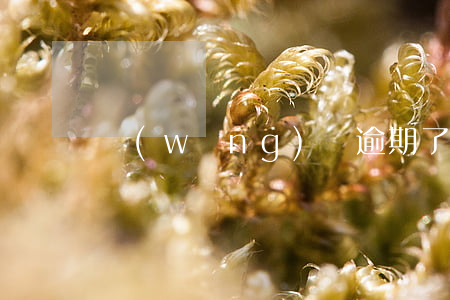 網(wǎng)貸逾期了一期一期還