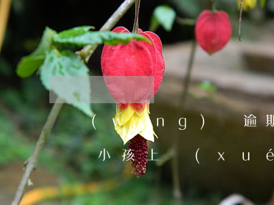 網(wǎng)貸逾期了上征信了會不會影響小孩上學(xué)-網(wǎng)貸逾期了上征信了會不會影響小孩上學(xué)呢