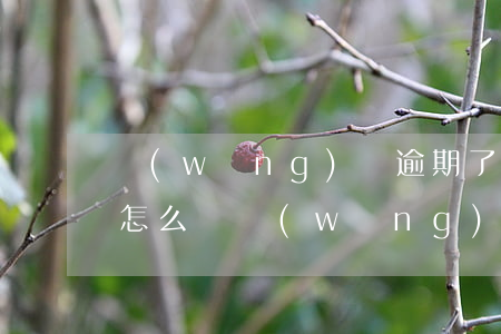 網(wǎng)貸逾期了不還會(huì)怎么樣(網(wǎng)貸逾期不還有什么后果)
